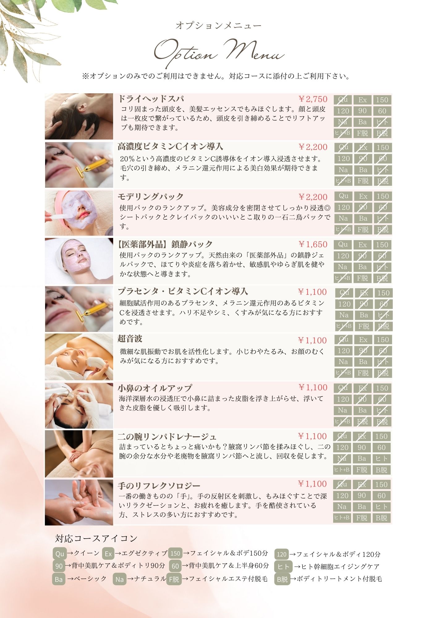 オプション②